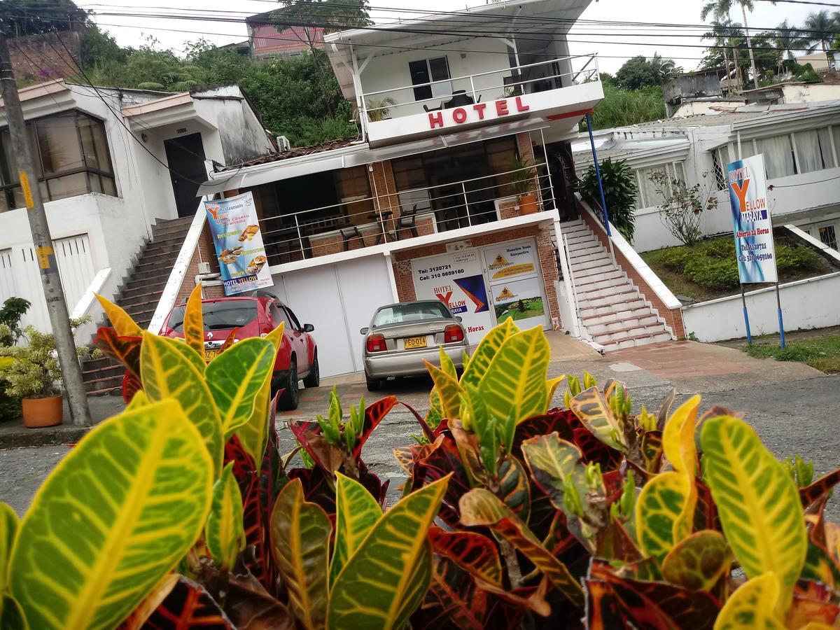 Yellow Maraya, Pereira